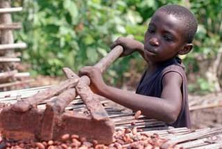 Slavery in Cocoa Began in the 1700’s, it Never Left Africa