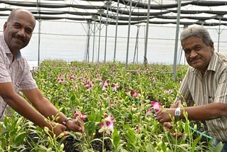 Petani Telangana yang Membuat India Menghentikan Impor Anggrek