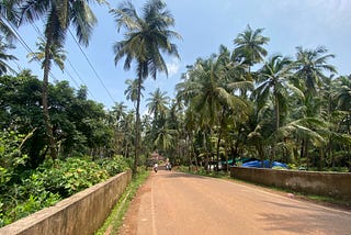 I Traced My Roots in Goa