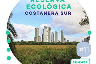 11 ~ Reserva Ecológica Costanera Sur