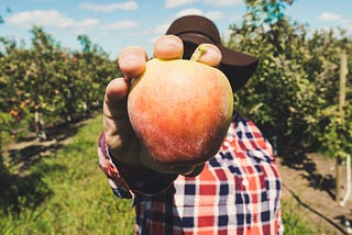 Ripe for change: preserving our future by upgrading the food business