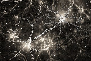 Does the Amyloid Model of Alzheimer’s Disease Still Make Sense? My Journey to Resolve the Gaps