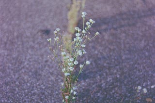 The Smallest Of Things