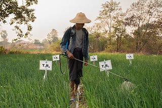 As Agrochemical Prices Surge, Myanmar Farmers are Turning to Organic Alternatives