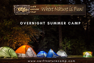 Overnight Summer Camp — Swift Nature Camp