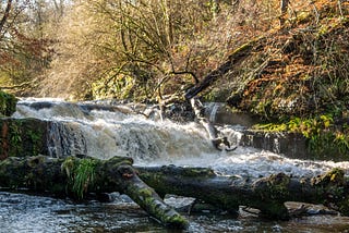 A white water rapid of the Falls of Lynn in North Ayrshire, Scotland in winter