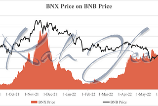 A Report on BinaryX