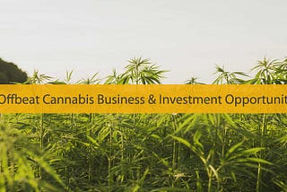 investor pitch competition by https://www.investorhotseat.com/, cannabis investment, investment opportunities