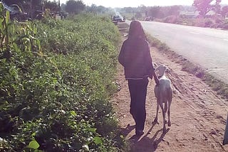 Eze Ossai_Travels Around Nigeria_Jalingo Road, Taraba State (2018)