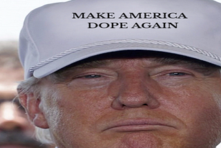 6. Make America Dope Again (Volume 1)