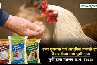 Top Three Types of poultry feed for profitable poultry farm