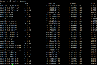 3 easy steps to setup Hyperledger Fabric in Virtual Machine (VM) .