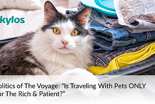 Politics of The Voyage: “Is Traveling With Pets ONLY For The Rich & Patient?”