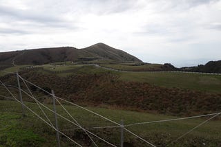 Qingtiangang Grassland Trails