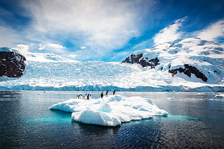 The Dangers Melting Polar Ice Caps Are Facing