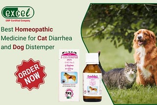Role of Homeopathy in Treating Dog and Cat Diarrhea