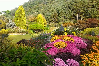 How One Garden In South Korea Flipped Reality on Its Head