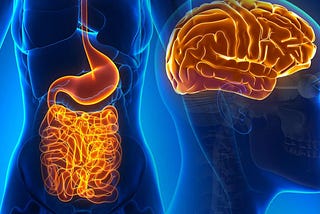 Trust Your Gut! The Influence of Gut Microbiomes on Mental Health