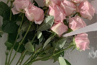 For my dearest flower