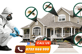 #1 Pest Control Services in Nairobi