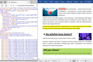 Convert XML to Word, or XML to PDF in C#