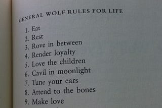 General (Wolf?) Teacher Rules for Life