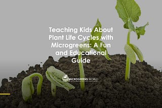 Teaching Kids About Plant Life Cycles with Microgreens: A Fun and Educational Guide