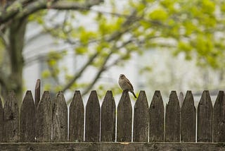 settling down