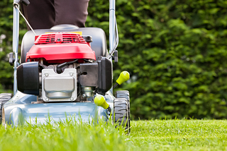 Why I Cut My Lawn Twice a Week, and You Should Too.