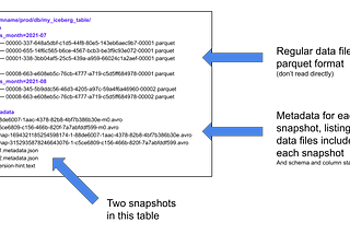 Table Formats Make the Data Lake Better