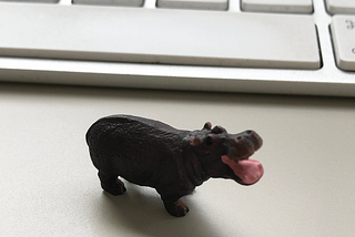 Image of a toy hippo.