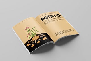 POTATO: A Portal to the Past, Present, and Future