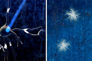 Optogenetics: illuminating the inner workings of the brain.