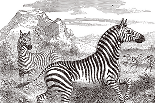 Zebra Companies Become Key Component of Japan’s Economic Policy