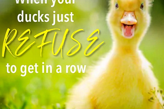 When your ducks refuse to get in a row