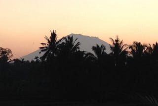 Ubud Peace