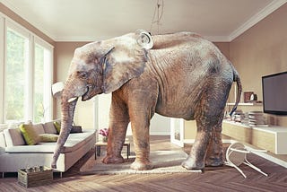 Image of “the elephant in the room.” A full-size elephant stands in the center of an otherwise normal-looking living room.