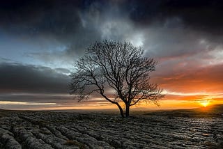 Up to Malham’s Edge