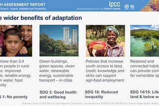 Nature-based Solutions for Climate Adaptation