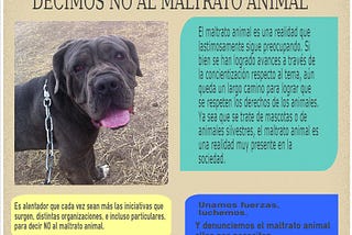 No al maltrato animal