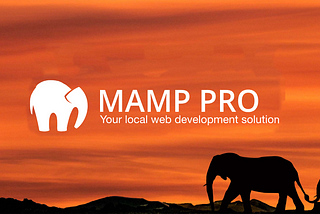 Setting up MAMP Pro 6 on macOS with Domain Name and HTTPS
