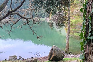 Flow of body and mind