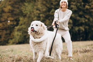 Woman wearing white clothes holds onto an energetic retriever.