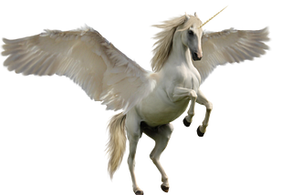 Who Are The Unicorns In Your Company?