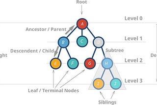 Understanding Trees