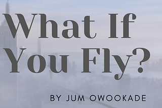 What if You Fly?