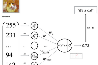 A step-by-step tutorial on coding Neural Network Logistic Regression model from scratch