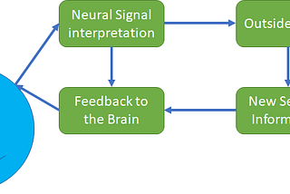 Dummies Guide to Neuralink