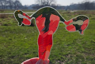 A green and pink internal reproductive system held up in front of an open and green parkland.