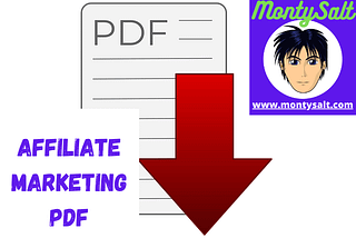 Learn how to dominate in 2021 with this Affiliate Marketing Pdf!